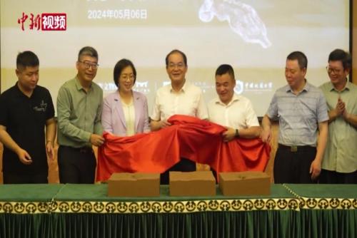 福建发现全球最大的恐爪龙类足迹