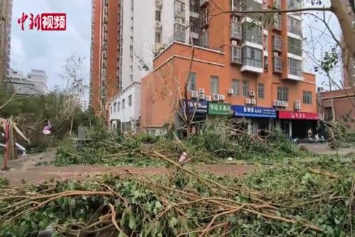 探访海口台风受灾地区：灾害中的救援与自救