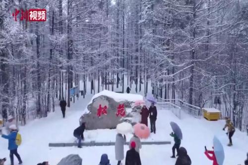 “神州北极”漠河迎今冬首场暴雪