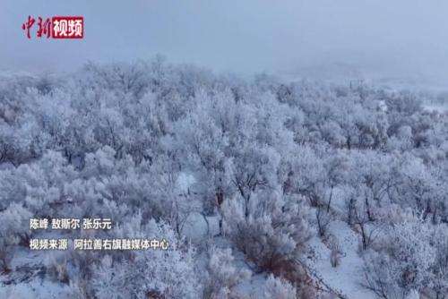 今冬来巴丹吉林赴一场“雾凇奇缘”